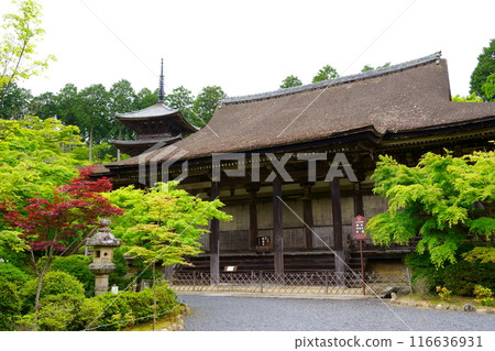 常樂寺/本堂及三層寶塔（滋賀縣港南市） 116636931