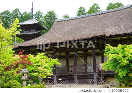 Jorakuji Temple / Main Hall and Three-story Pagoda (Konan City, Shiga Prefecture) Jorakuji Temple / Main Hall and Three-story Pagoda (Konan City, Shiga Prefecture) 116636932