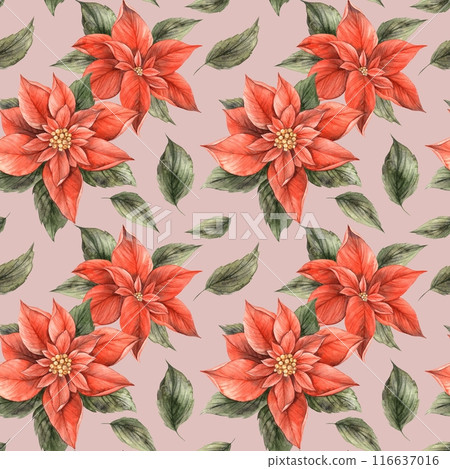 Red poinsettia with green leaves. Seamless Christmas pattern, hand drawn in botanical style on a pink background. Suitable for Christmas wrapping paper, textile, cards, digital or print design 116637016