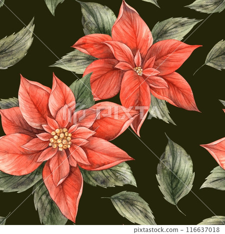 Red poinsettia with green leaves. Seamless Christmas pattern, hand drawn in botanical style on a dark green background. Suitable for Christmas wrapping paper, textile, cards, digital or print design 116637018