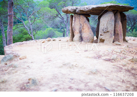 sacral antique Dolmen of Vallgorguina sacral antique Dolmen of Vallgorguina 116637208