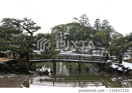 滋賀縣彥根市的“玄宮園雪景” 116637238