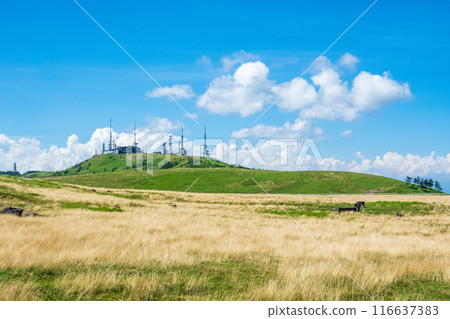 美原健行（美原牧場、大賀圖） 116637383