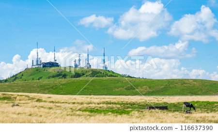 Utsukushigahara trekking (Utsukushigahara Ranch and Ogato) Utsukushigahara trekking (Utsukushigahara Ranch and Ogato) 116637390