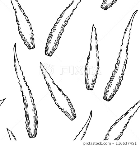 seamless pattern with aloe vera, vector pattern in sketch style. natural cosmetic seamless pattern with aloe vera, vector pattern in sketch style. natural cosmetic 116637451