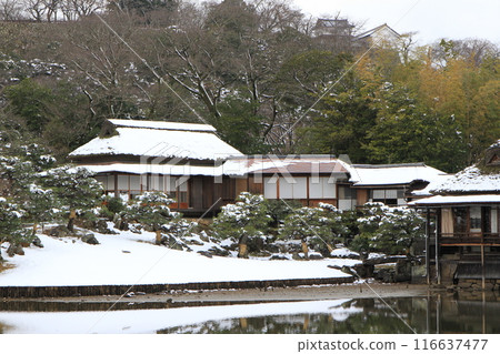 滋賀縣彥根市的“玄宮園雪景” 116637477