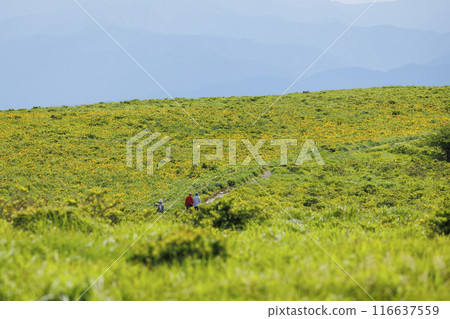 Kirigamine no Nikkokisge 116637559