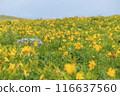 Kirigamine no Nikkokisge 116637560