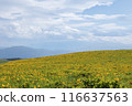 Kirigamine no Nikkokisge 116637563