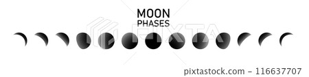 Moon phases icon moon phases. The whole cycle from new moon to full moon. icon vector Moon phases icon moon phases. The whole cycle from new moon to full moon. icon vector 116637707