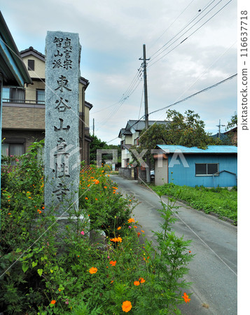Chichibu, Nagatoro Seven Herbs Temples, Shinshoji Temple Chichibu, Nagatoro Seven Herbs Temples, Shinshoji Temple 116637718
