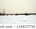 Trinity Bridge in St. Petersburg. 116637734