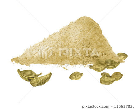 Dried Cardamom spices pods with pile of powder. Seeds and heap of spice. Aromatic ingredient for baking, hot and cold drinks, for seasoning various dishes. Watercolor illustration of Cardamon 116637823