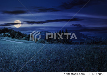 mountain range with coniferous forest at night. beautiful countryside scenery in full moon light mountain range with coniferous forest at night. beautiful countryside scenery in full moon light 116637853