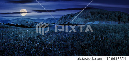 asphalt road winding through mountains and passes near the green forest at night. wonderful countryside scenery in full moon light 116637854