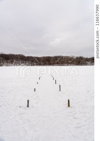 A frozen view of snow and trees at a local Minnesota park in winter. A frozen view of snow and trees at a local Minnesota park in winter. 116637990