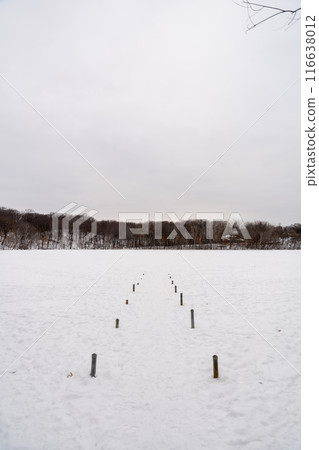 A frozen view of snow and trees at a local Minnesota park in winter. 116638012