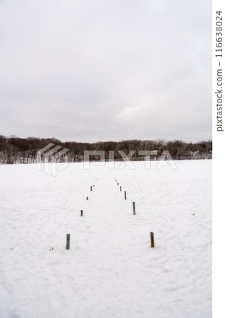 A frozen view of snow and trees at a local Minnesota park in winter. 116638024