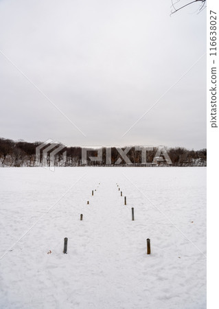 A frozen view of snow and trees at a local Minnesota park in winter. 116638027
