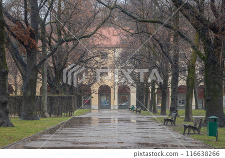 Wooden benches and Trees in the garden of the Munich Residenz on a rainy day with Hofgartenarkaden building in the background. Wooden benches and Trees in the garden of the Munich Residenz on a rainy day with Hofgartenarkaden building in the background. 116638266