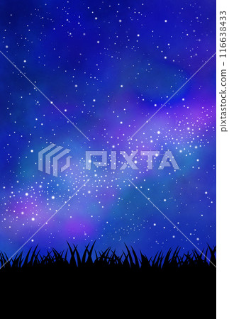 Illustration of a sky full of stars and a meadow 116638433