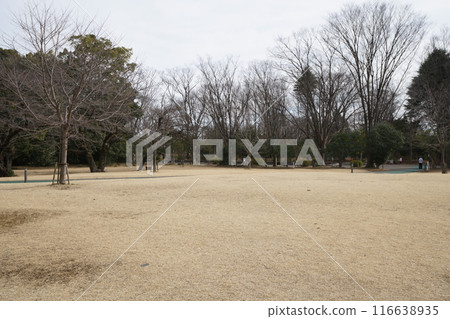 park park 116638935