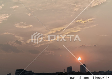 夕陽 116639113