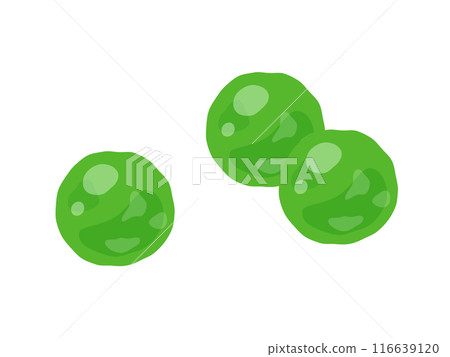 Green peas illustration 116639120