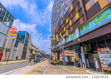 Yokohama cityscape in Japan, overlooking Kannai Station and other areas. Insect-eating... 116639334