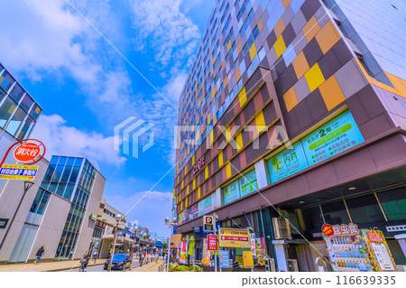 Yokohama cityscape in Japan, overlooking Kannai Station and other areas. Insect-eating... 116639335