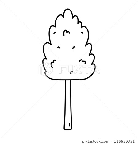 Tree isolated on a white background 116639351