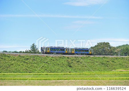 小海線 小淵遁界 小泉 JR東日本 木葉 E200-1+木葉 E200-2 (小海) 116639524