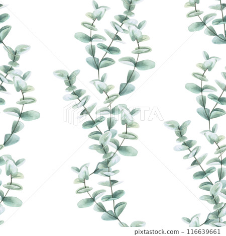 Seamless pattern of dollar eucalyptus branches in watercolor illustration. Hand-drawn pattern for printing on fabrics, wallpaper, packaging 116639661