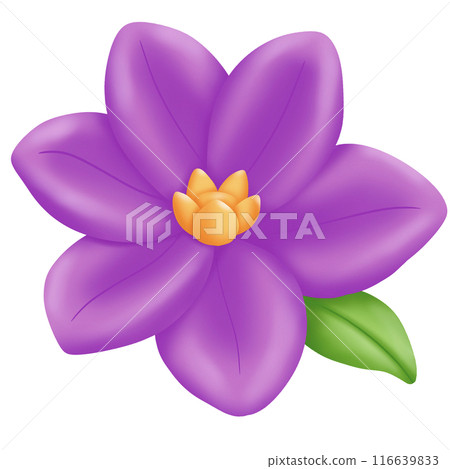 illustration of a flower 116639833