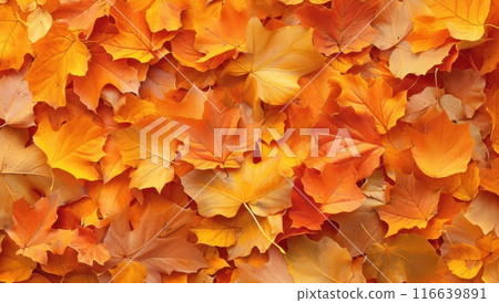 Vibrant orange and yellow autumn leaves, fallen foliage backdrop, seasonal nature texture 116639891