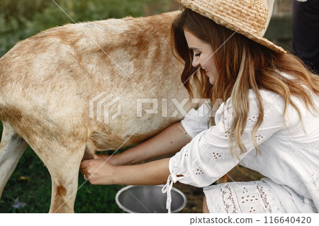 Girl farmer with white goat. Woman and small goat green grass. Eco farm. Farm and farming concept. Village animals. Girl to molk a goat. 116640420