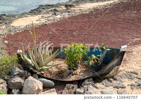 Boat as a flower pot, La Graciosa, Spain 116640707