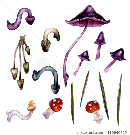 Poisonous forest mushrooms white, black, blue toadstools isolated on a white background. Watercolor illustration for template, autumn holiday, harvest, magic, witches, poison, medicine tea, textile 116640825