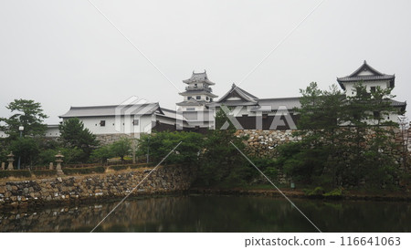 今治城 雨天的水城 116641063