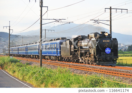 上越線五官沼田 JR 東日本 D51-498+12 系列(高崎)SL 水上 上越線五官沼田 JR 東日本 D51-498+12 系列(高崎)SL 水上 116641174