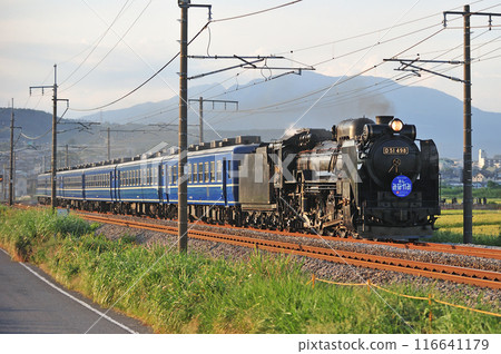 上越線五官沼田 JR 東日本 D51-498+12 系列(高崎)SL 水上 上越線五官沼田 JR 東日本 D51-498+12 系列(高崎)SL 水上 116641179