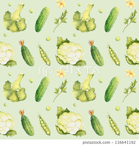 Green Vegetables Watercolor Seamless Pattern with Peas, Broccoli, Cauliflower and Cucumbers, Parsley plant on a light green background. Can be used for kitchen textile prints, product packaging design Green Vegetables Watercolor Seamless Pattern with Peas, Broccoli, Cauliflower and Cucumbers, Parsley plant on a light green background. Can be used for kitchen textile prints, product packaging design 116641192