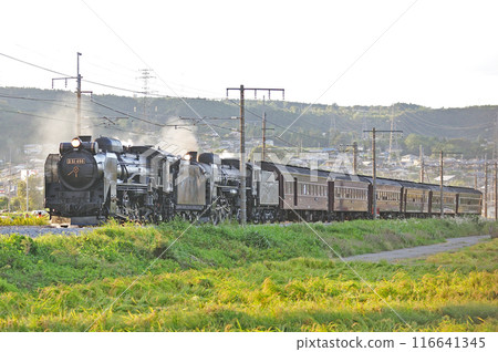 Joetsu Line Shibukawa-Yagihara JR East D51-498 + C61-20 + old passenger 6B SL double-unit Retro Minakami Joetsu Line Shibukawa-Yagihara JR East D51-498 + C61-20 + old passenger 6B SL double-unit Retro Minakami 116641345