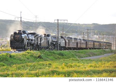 Joetsu Line Shibukawa-Yagihara JR East D51-498 + C61-20 + old passenger 6B SL double-unit Retro Minakami Joetsu Line Shibukawa-Yagihara JR East D51-498 + C61-20 + old passenger 6B SL double-unit Retro Minakami 116641346