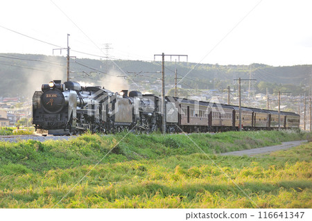 Joetsu Line Shibukawa-Yagihara JR East D51-498 + C61-20 + old passenger 6B SL double-unit Retro Minakami Joetsu Line Shibukawa-Yagihara JR East D51-498 + C61-20 + old passenger 6B SL double-unit Retro Minakami 116641347