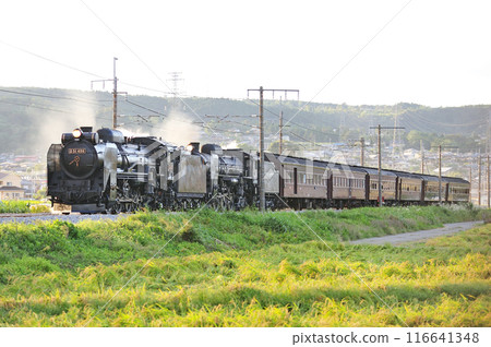 Joetsu Line Shibukawa-Yagihara JR East D51-498 + C61-20 + old passenger 6B SL double-unit Retro Minakami Joetsu Line Shibukawa-Yagihara JR East D51-498 + C61-20 + old passenger 6B SL double-unit Retro Minakami 116641348