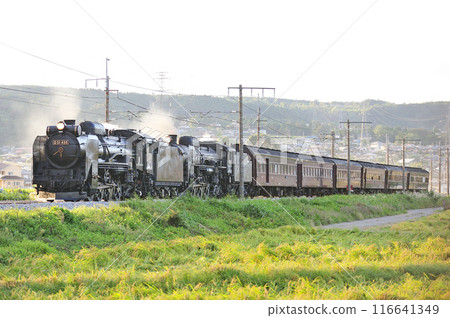 Joetsu Line Shibukawa-Yagihara JR East D51-498 + C61-20 + old passenger 6B SL double-unit Retro Minakami Joetsu Line Shibukawa-Yagihara JR East D51-498 + C61-20 + old passenger 6B SL double-unit Retro Minakami 116641349
