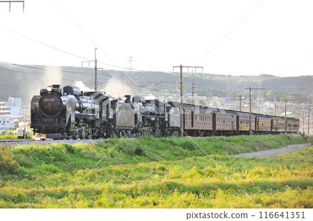 上越線 澀川-八木原 JR東日本 D51-498+C61-20+老顧客 6B SL 舉人復古水上 上越線 澀川-八木原 JR東日本 D51-498+C61-20+老顧客 6B SL 舉人復古水上 116641351
