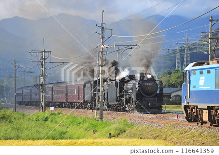 上越線五官沼田 JR東日本 D51-498 + C61-20 + 老顧客 6B SL Juren Retro Minakami 116641359