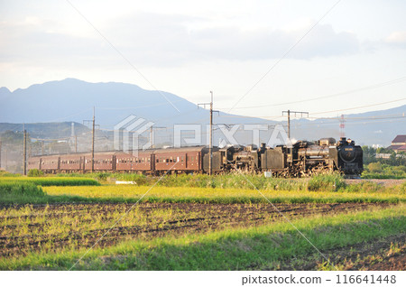 上越線 澀川-八木原 JR東日本 D51-498 + C58-363 + 老顧客 6B SL Juren Retro Minakami 116641448